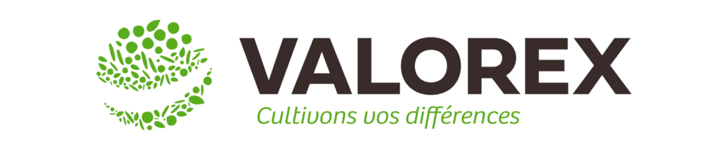 Logo-V