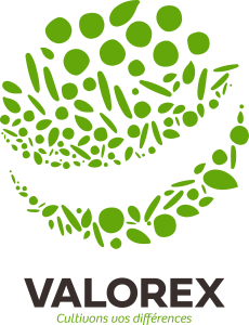 Valorex